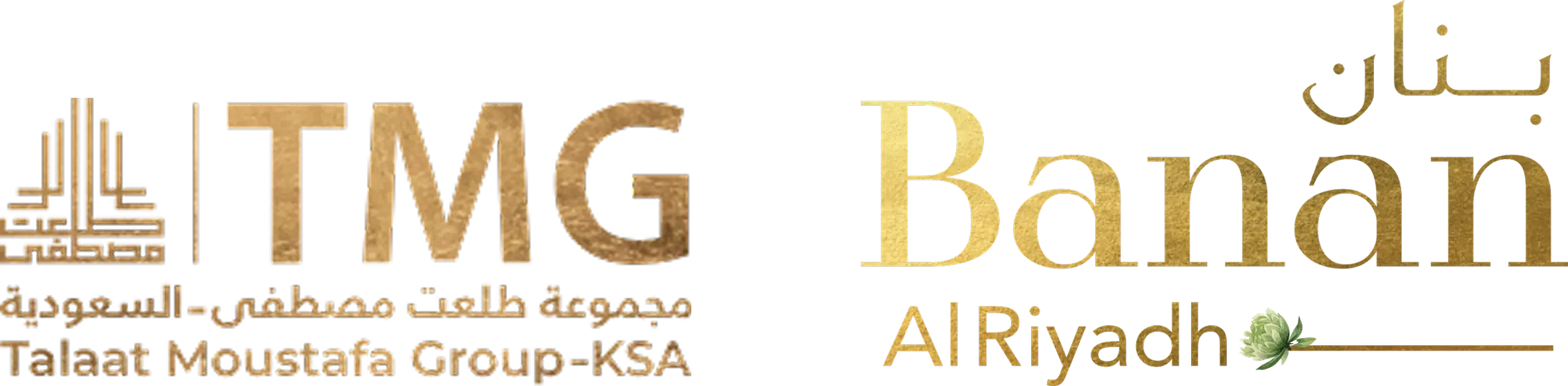 tmg-logo